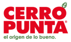cerro-punta